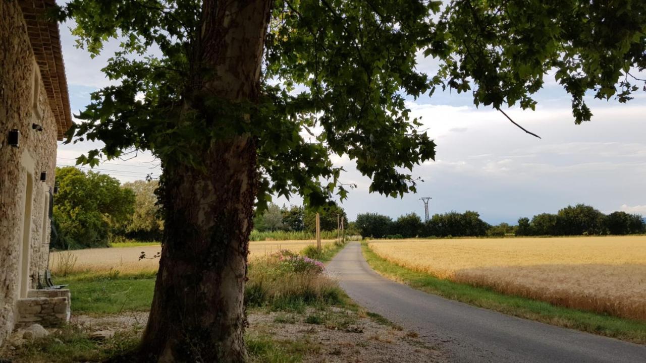 Maison Au Calme En Campagne Climatisee Caderousse エクステリア 写真